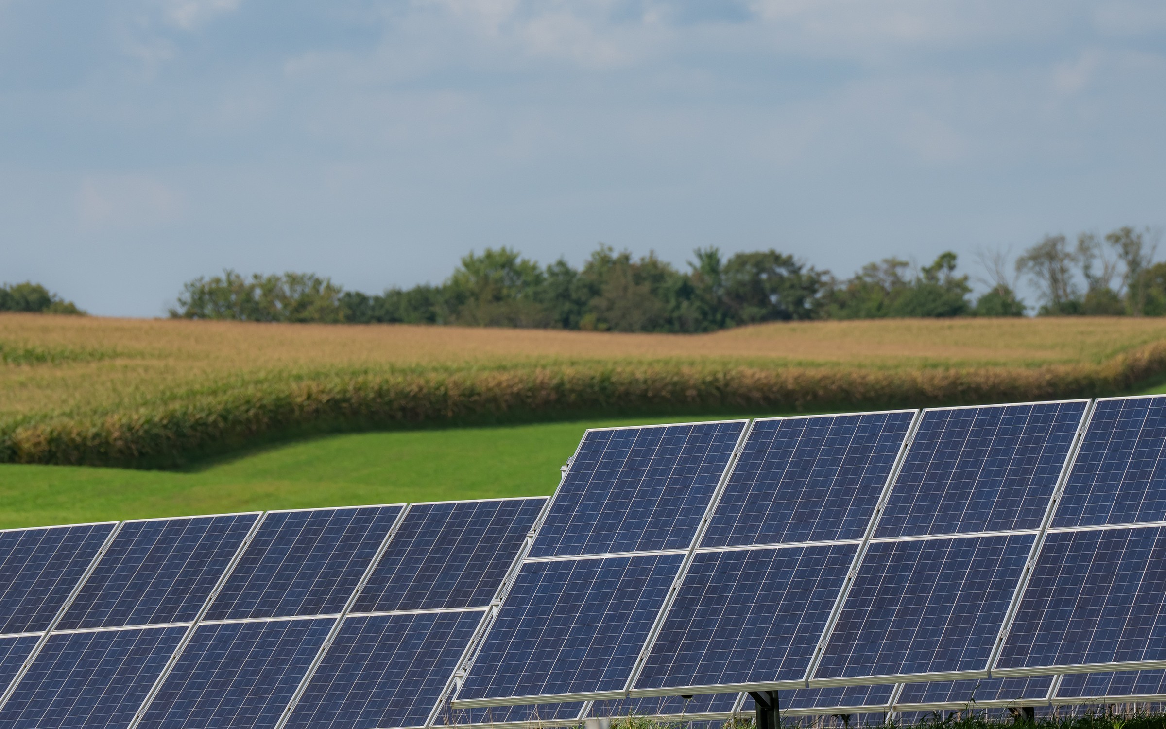 Solar array supplying a rural electricity cooperative